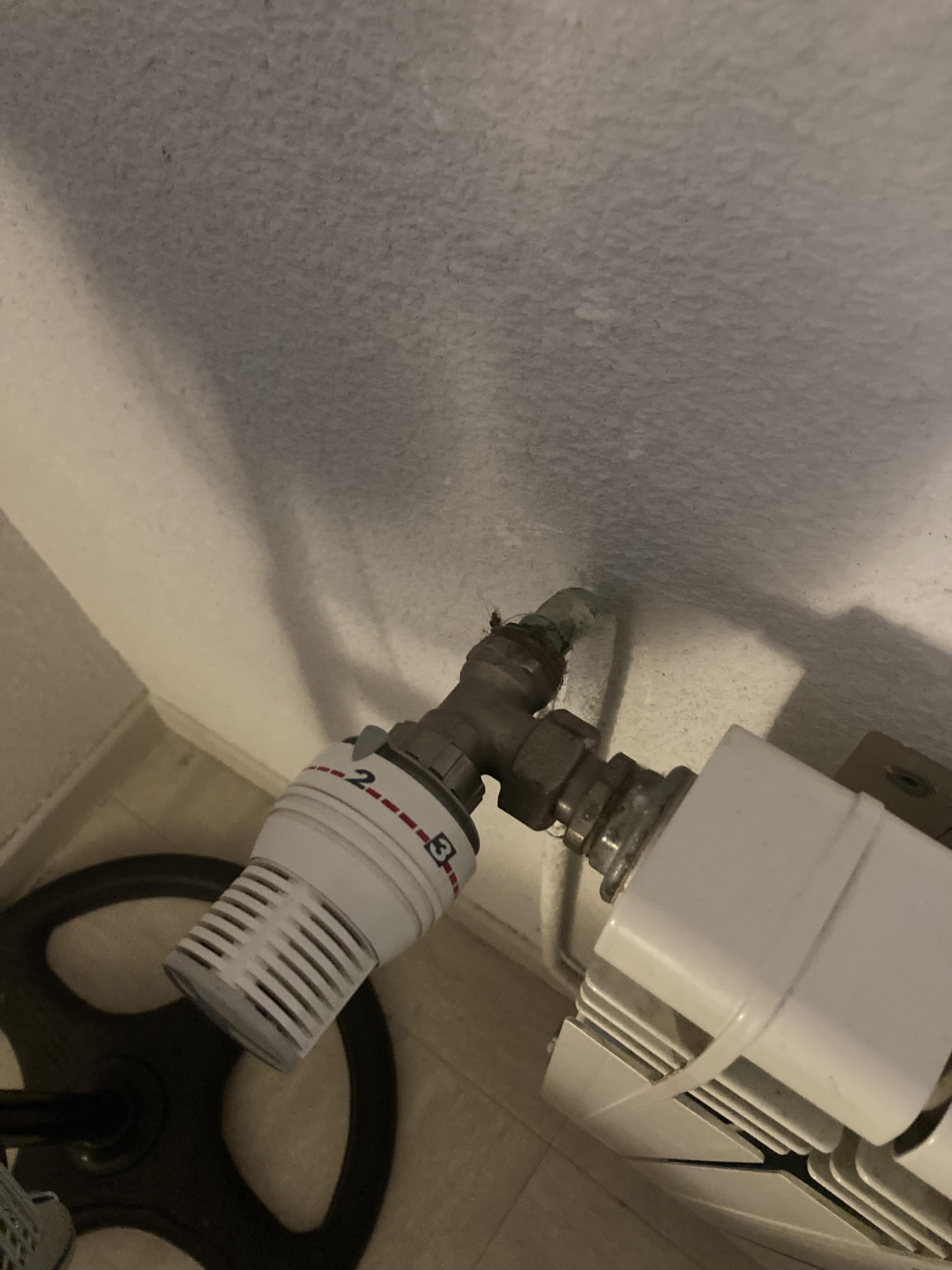 Thermostat radiateur.jpg